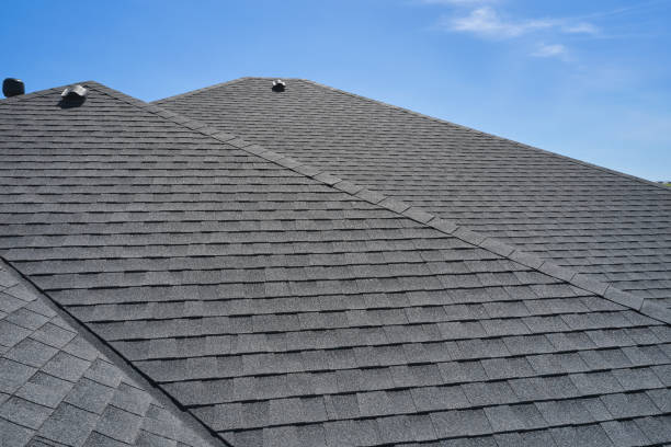 Best Roof Maintenance and Cleaning  in South Palm Beach, FL